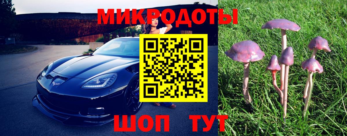 Галлюциногенные грибы Psilocybine cubensis  Галлюциногенные грибы Psilocybine cubensis  Торжок  Вход с VPN 