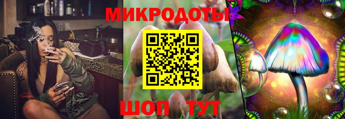 Псилоцибиновые грибы Psilocybine cubensis Торжок